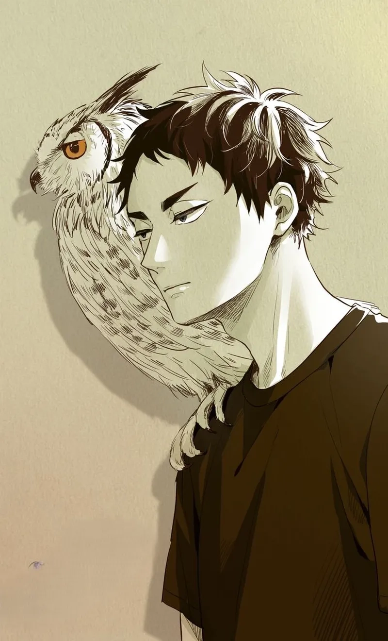 Akaashi Keiji là hình mẫu lý tưởng của nhiều người hâm mộ