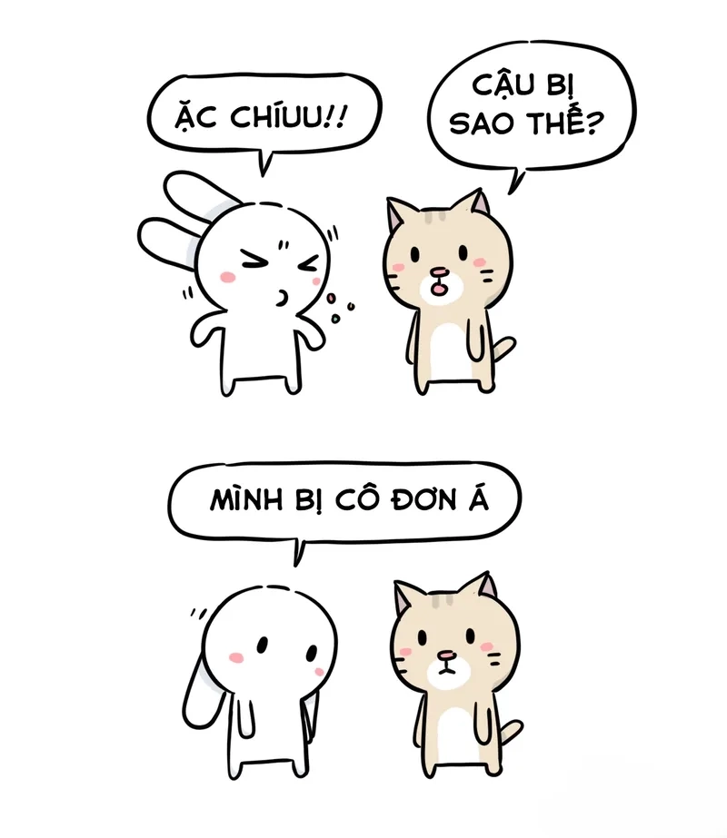 Ảnh meme thỏ đáng yêu, hợp làm hình nền