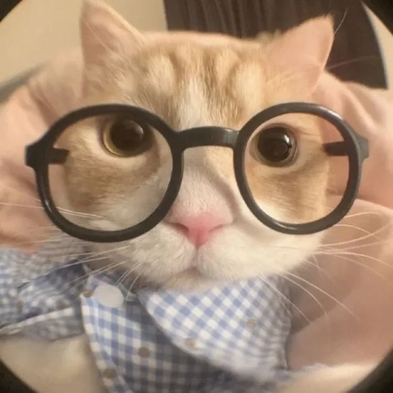 Ý nghĩa của avatar meme