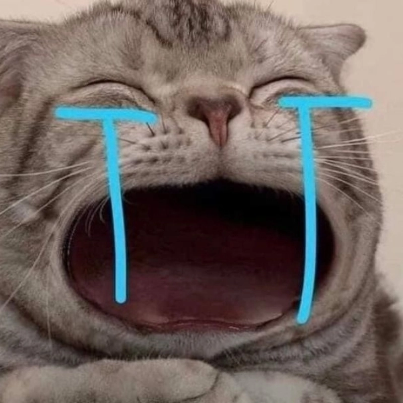 Avatar meme mèo bựa là ảnh đại diện chế từ meme mèo với phong cách bựa và hài hước.