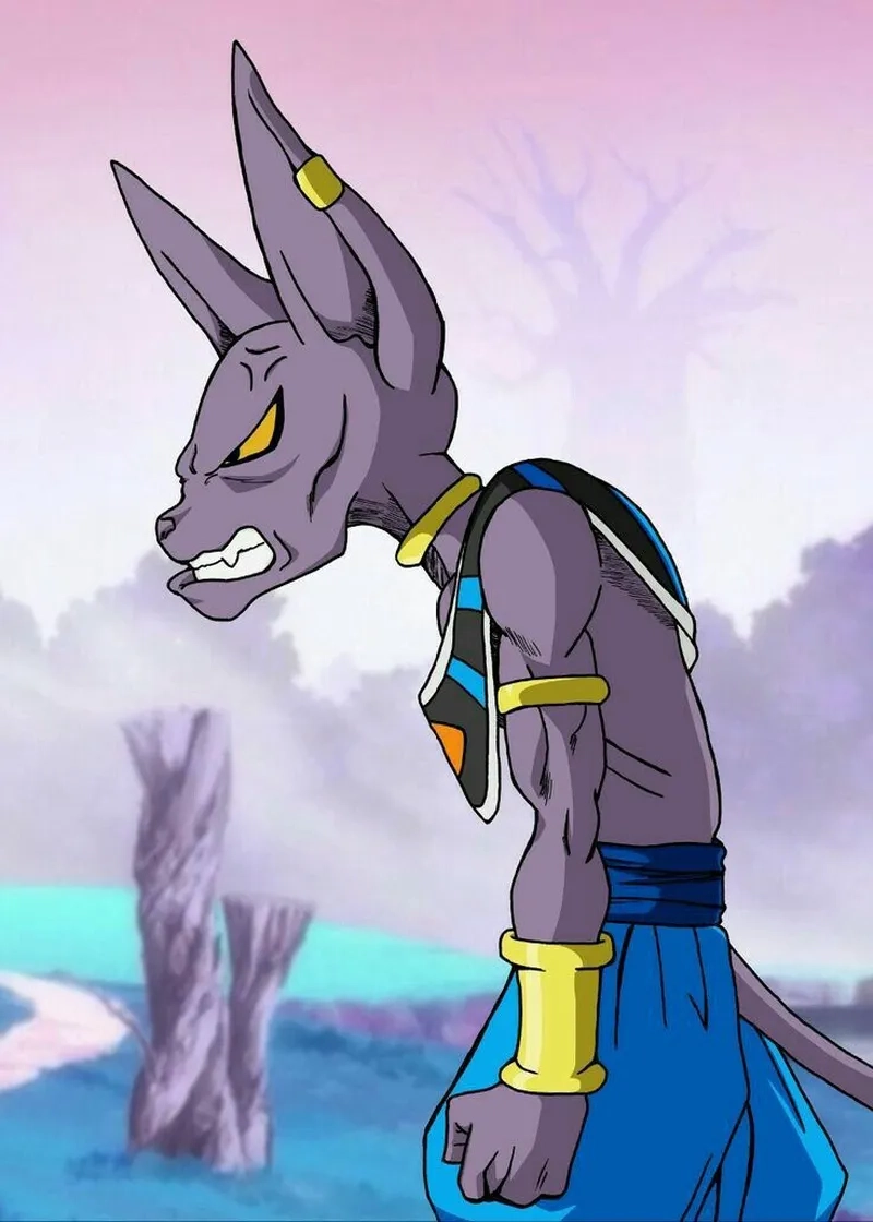 Những khoảnh khắc thần thánh của Beerus sama Dragon Ball