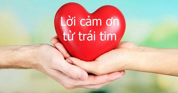 Ảnh meme hài cảm ơn khiến bạn vừa biết ơn vừa muốn cười