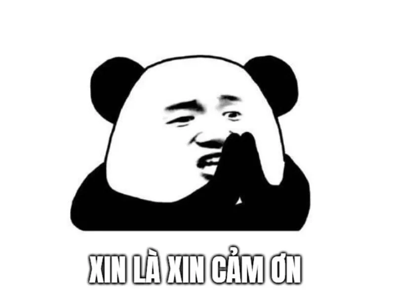 Meme cảm ơn ý kiến của bạn cực hợp feedback vừa lịch sự vừa vui