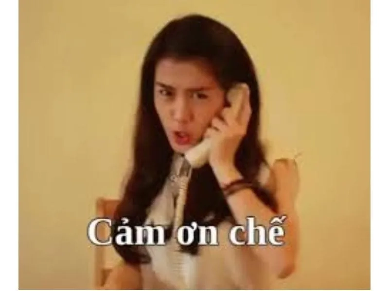 Meme cảm ơn dễ thương lan tỏa năng lượng tích cực cực mạnh