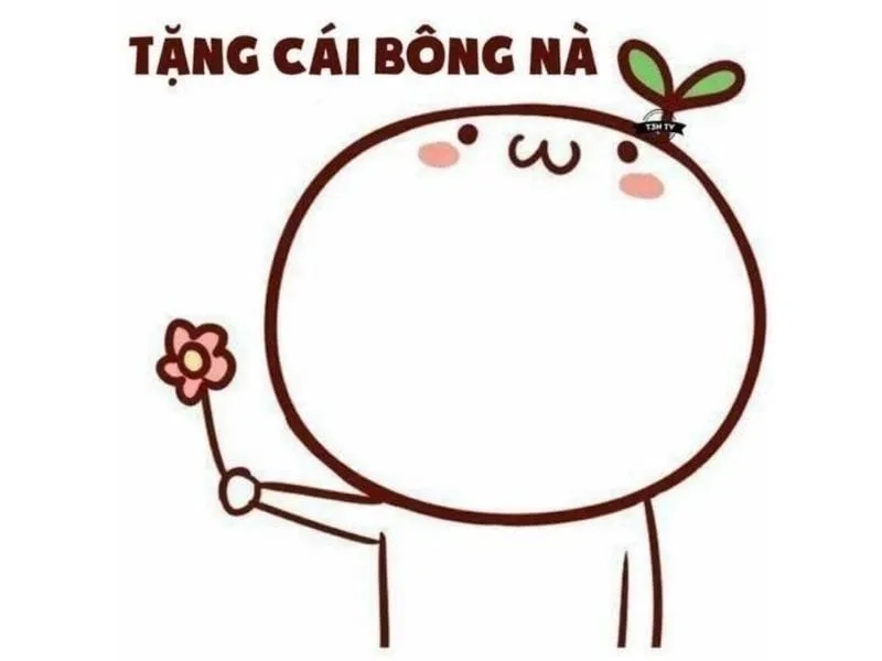 Ảnh cảm ơn meme giúp bạn gửi lời tri ân cực chill