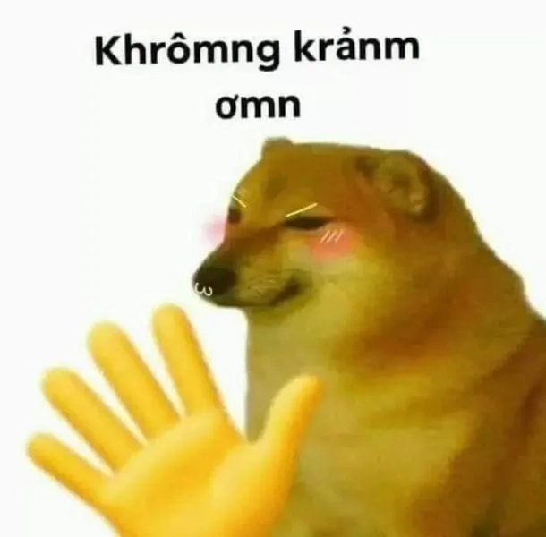 Ảnh meme cảm ơn gọn gàng và truyền tải thông điệp rõ ràng