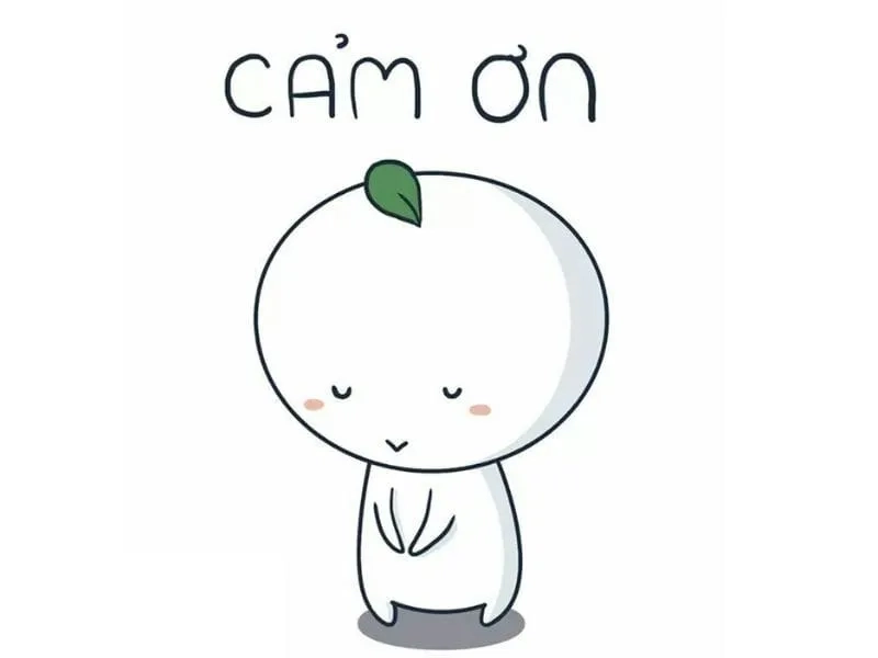 Ảnh cảm ơn cute giúp lời nói chân thành thêm ngọt ngào