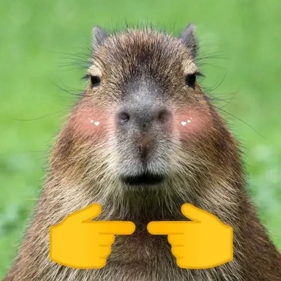 Meme capybara hét khiến bạn không thể nhịn cười