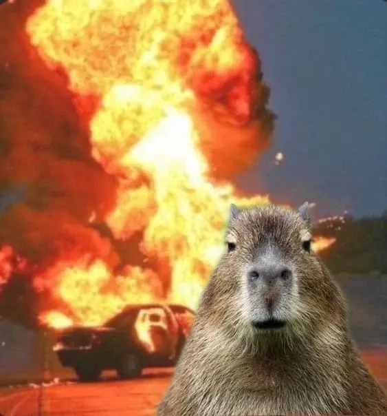Capybara anime meme cực kỳ dễ thương và hài hước
