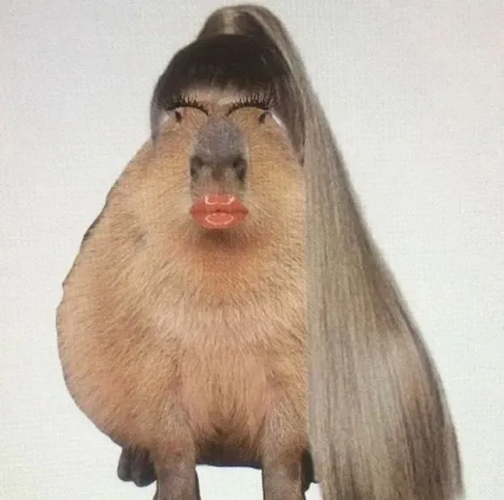 Meme capybara ngoại giao đáng yêu và hài hước, khiến bạn yêu thích ngay