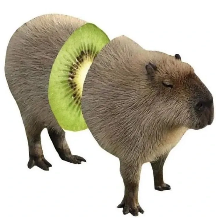 Anime capybara meme dễ thương và cực kỳ vui nhộn, ai cũng phải yêu thích