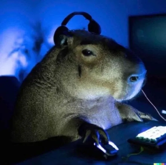 Hình capybara meme hài hước và đáng yêu khiến bạn không thể không thích