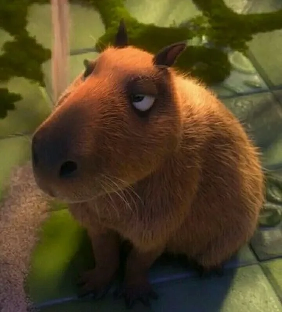 Ảnh capybara meme siêu dễ thương và hài hước khiến bạn phải cười