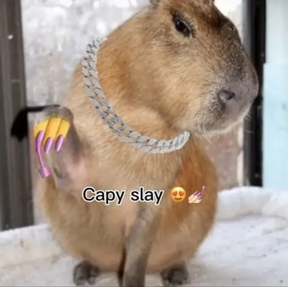 Hình nền capybara meme đáng yêu sẽ khiến màn hình của bạn nổi bật