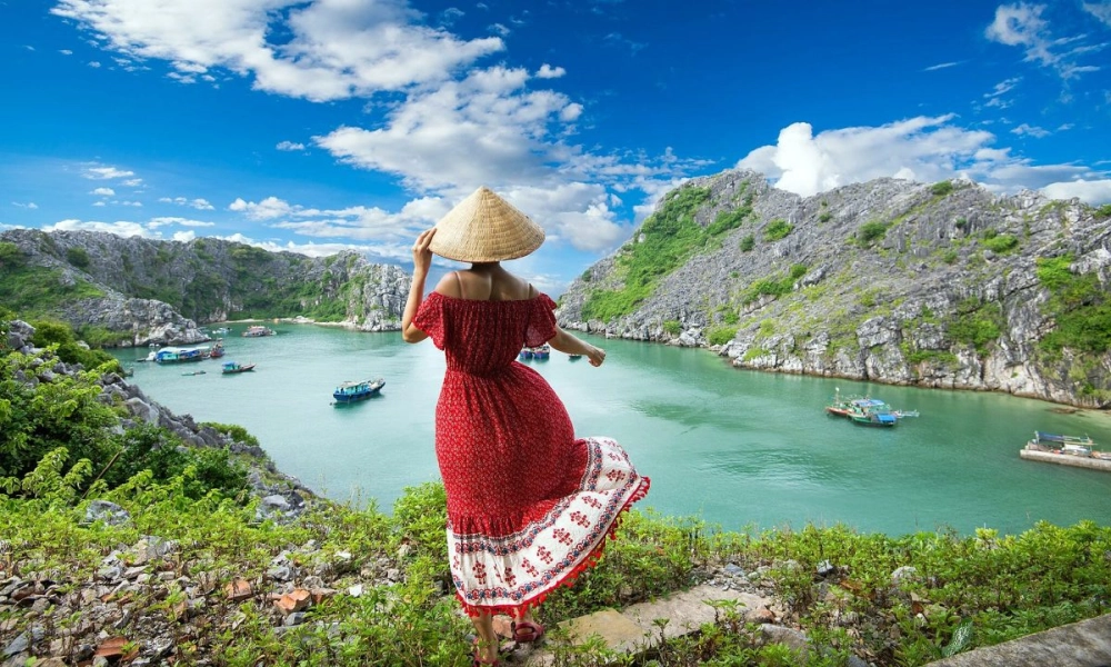 Hướng dẫn đặt khách sạn ở cát bà nhanh chóng