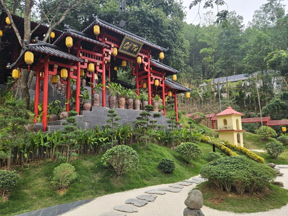 Chia sẻ khoảnh khắc chụp ảnh ở chùa cây thị đẹp