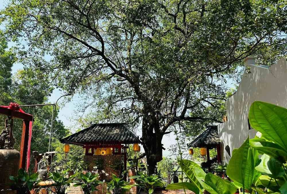 Khoảng cách chùa cây thị hà nam bao nhiêu km