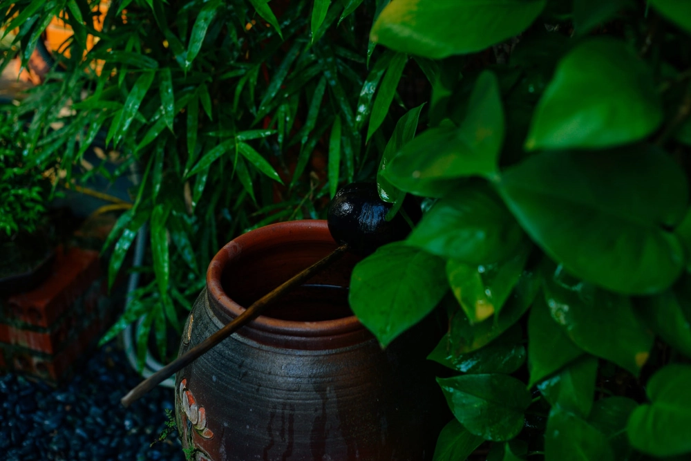 Tò mò ai trụ trì chùa Phật Quang gây chú ý