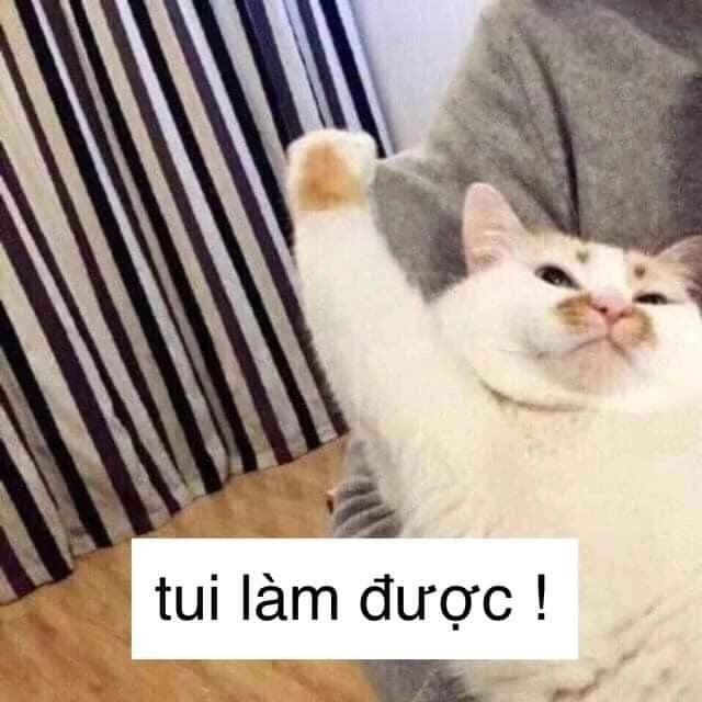Meme quyết tâm mang lại nguồn động lực vô cùng mạnh mẽ cho những ai đang gặp thử thách