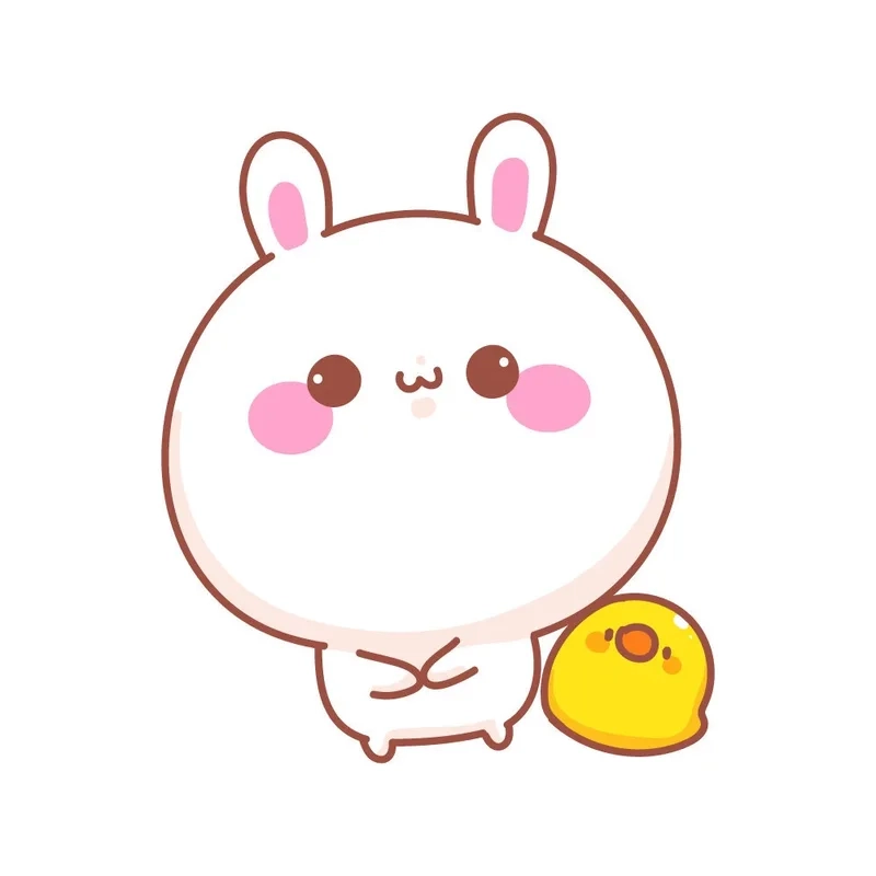 Không thể bỏ lỡ bộ thỏ hình cute siêu chất và hài hước