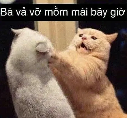 Xin đừng đánh nhau xin đừng cãi nhau truyền tải sự đoàn kết