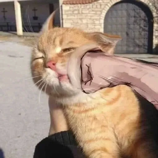 Đánh nhau meme với biểu cảm hài hước
