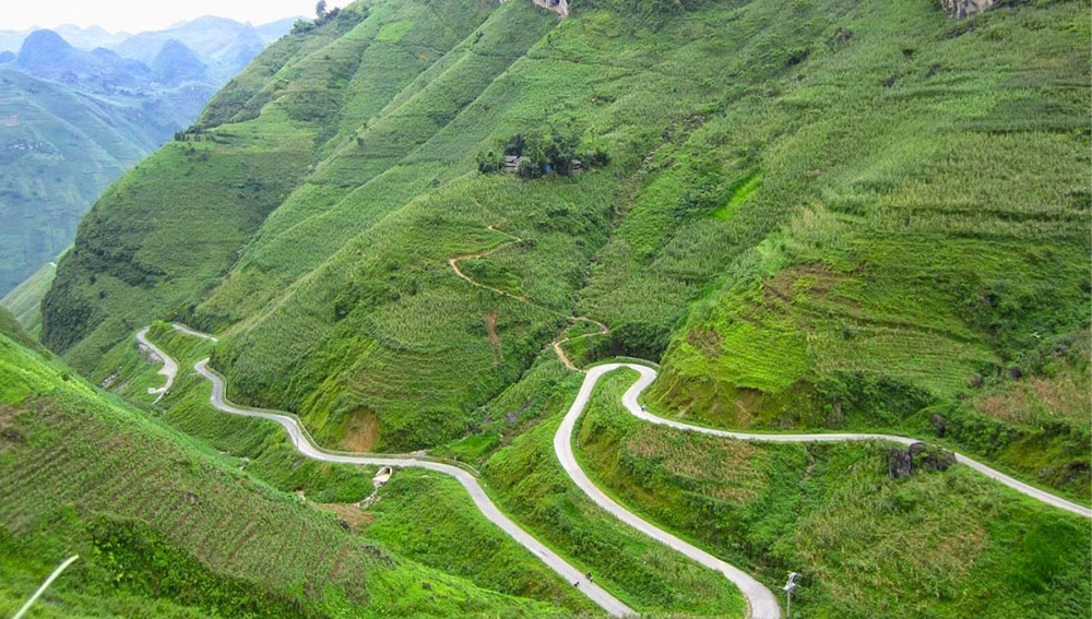 Ngắm nhìn hình ảnh mã pí lèng siêu đẹpNgắm nhìn hình ảnh mã pí lèng siêu đẹp