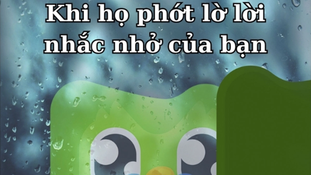 Duolingo meme Japanese siêu dị khi cú xanh bước vào thế giới anime