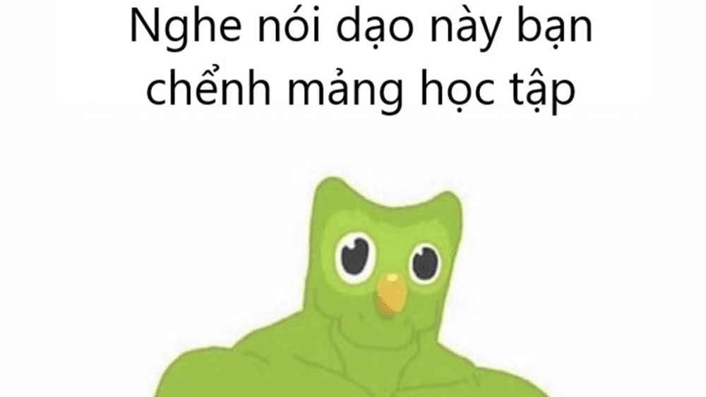 Duolingo meme template cho bạn tha hồ sáng tạo cảnh “cú báo thù”