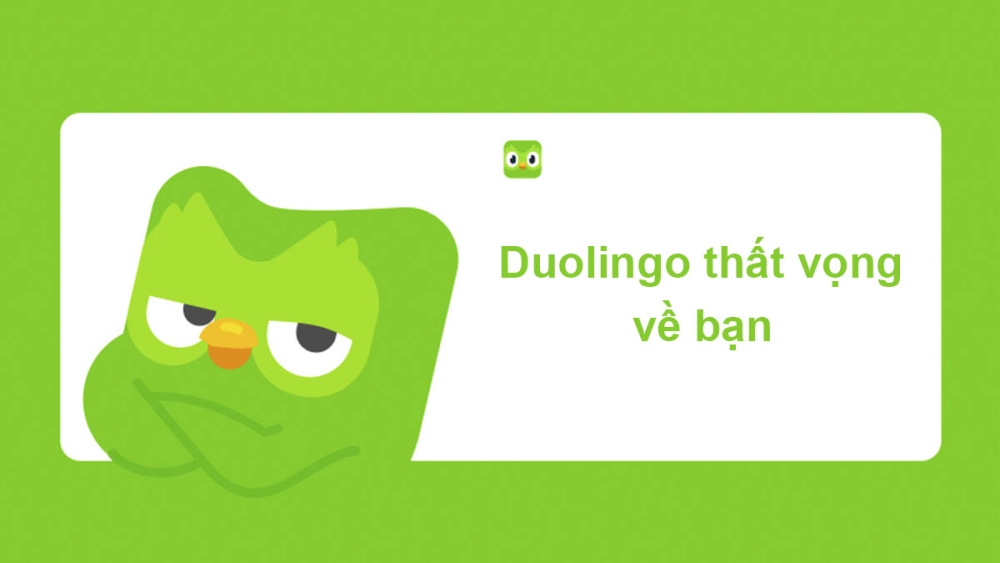 Duolingo meme Việt Nam chuẩn giọng điệu 