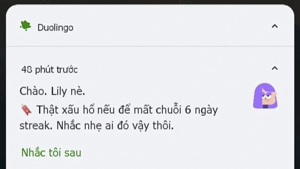 Duolingo meme gif động và dọa, đúng chất cú “sát phạt”