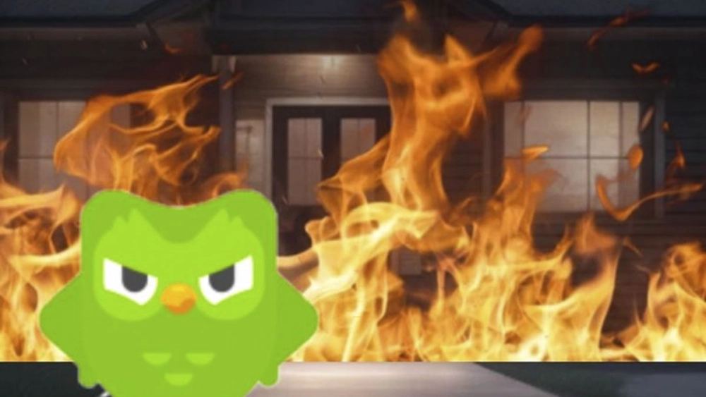 Duolingo memes funny gif hài đến mức quên cả deadline học