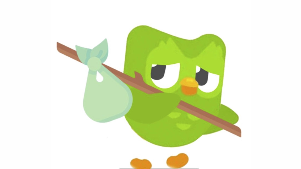 Duolingo Vietnamese meme học tiếng Việt với cú xanh “đòi nợ” chuẩn chỉnh