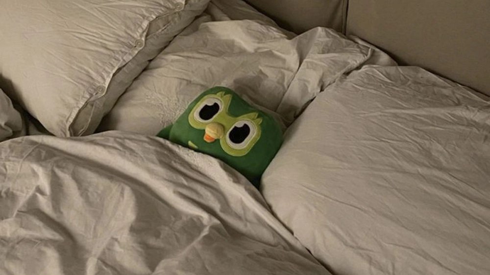 New Year New Me Duolingo meme – năm mới vẫn bị cú réo học