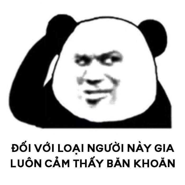 Meme trung quốc gấu trúc luôn là sự kết hợp tuyệt vời giữa hài hước và dễ thương