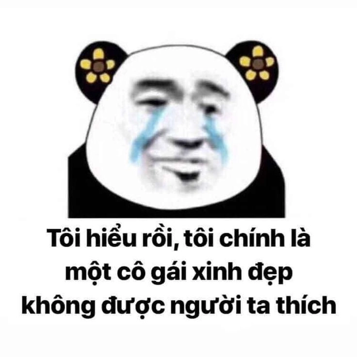 Gấu trúc meme trung quốc khiến bất kỳ ai xem cũng phải cười thật to