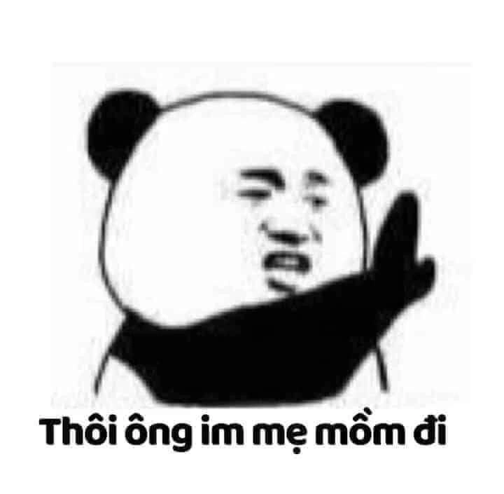 Meme con gấu trúc trung quốc khiến bạn vừa cười vừa yêu mến