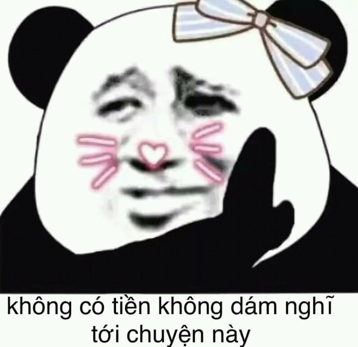 Chắc chắn bạn sẽ cười té ghế với meme gấu trúc bựa trung quốc cực kỳ hài hước