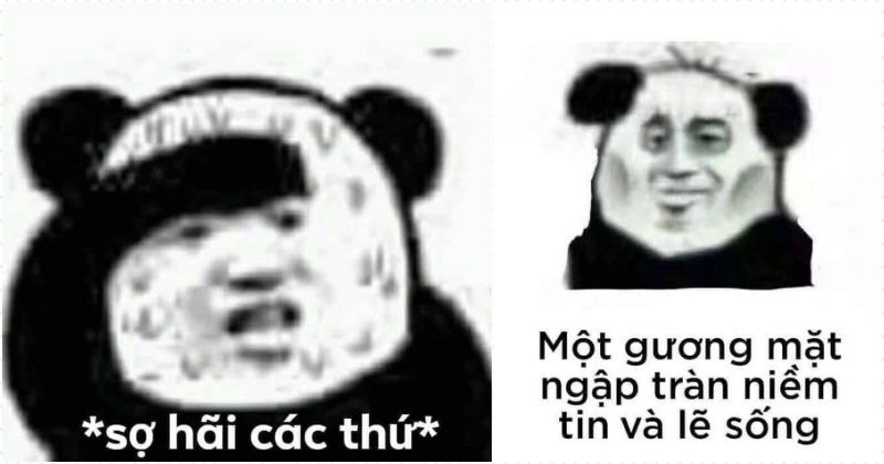 Khám phá những meme trung quốc cute cực dễ thương và ngọt ngào