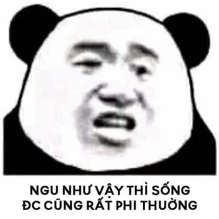 Meme con gấu trung quốc siêu dễ thương làm người xem phải bật cười