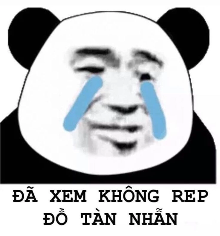 Meme panda trung quốc đầy màu sắc và hài hước, chắc chắn sẽ khiến bạn yêu thích