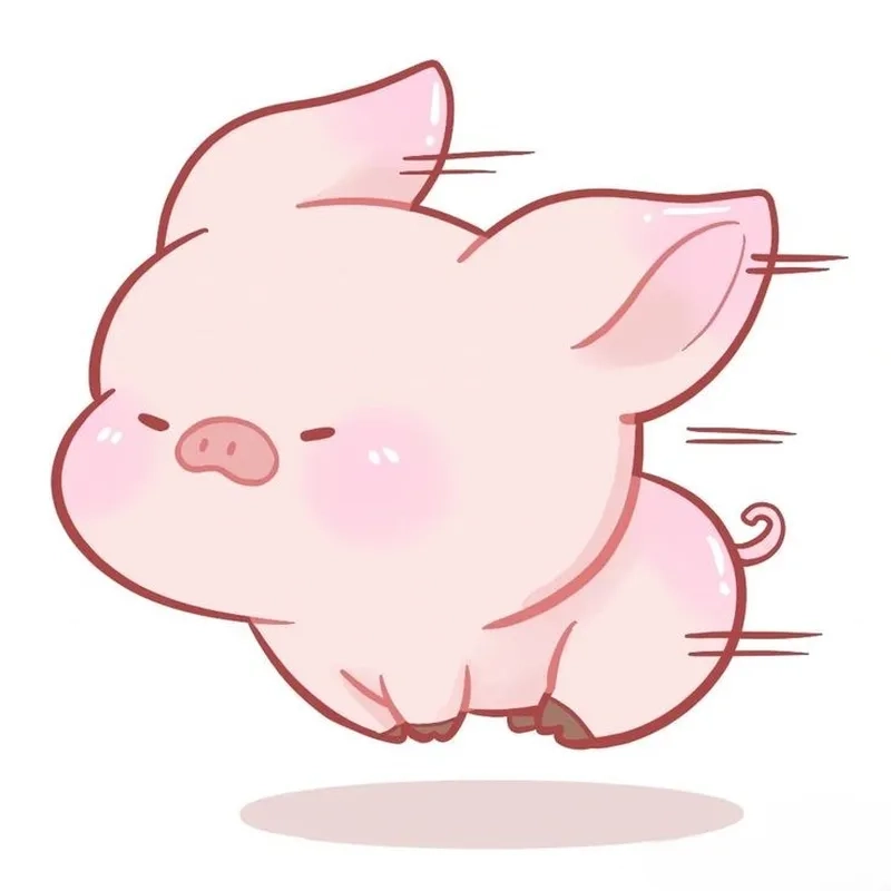 Con heo cute mũm mĩm khiến ai cũng muốn ôm
