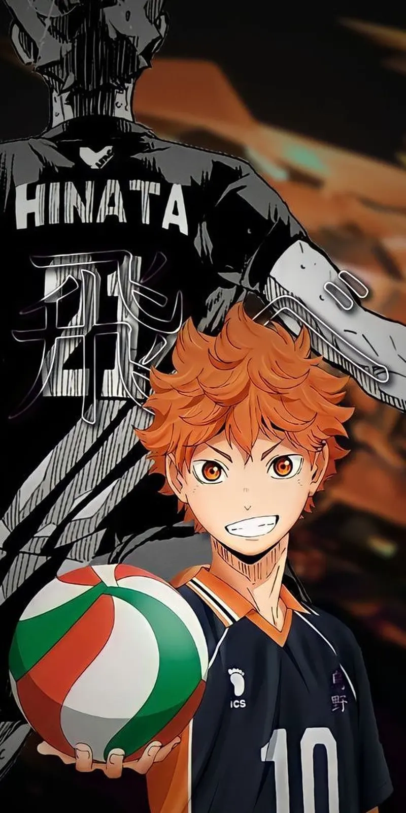 Hinata Shouyou manga mang đến cho bạn những câu chuyện cảm động