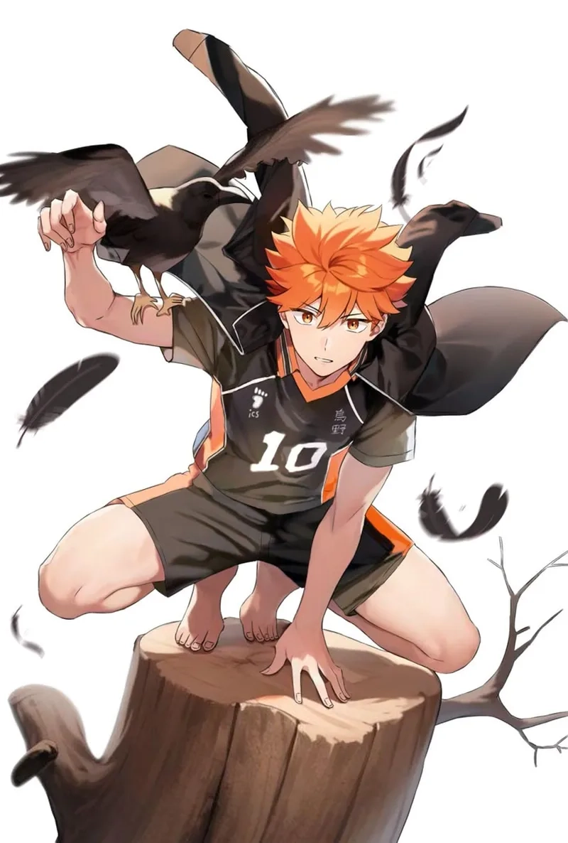 Xem lại những cảnh đáng yêu của Hinata Shouyou anime trong mùa mới