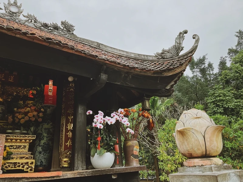 Ảnh Chùa 1 Cột giúp bạn cảm nhận vẻ đẹp độc đáo của một trong những công trình cổ xưa nhất tại Hà Nội
