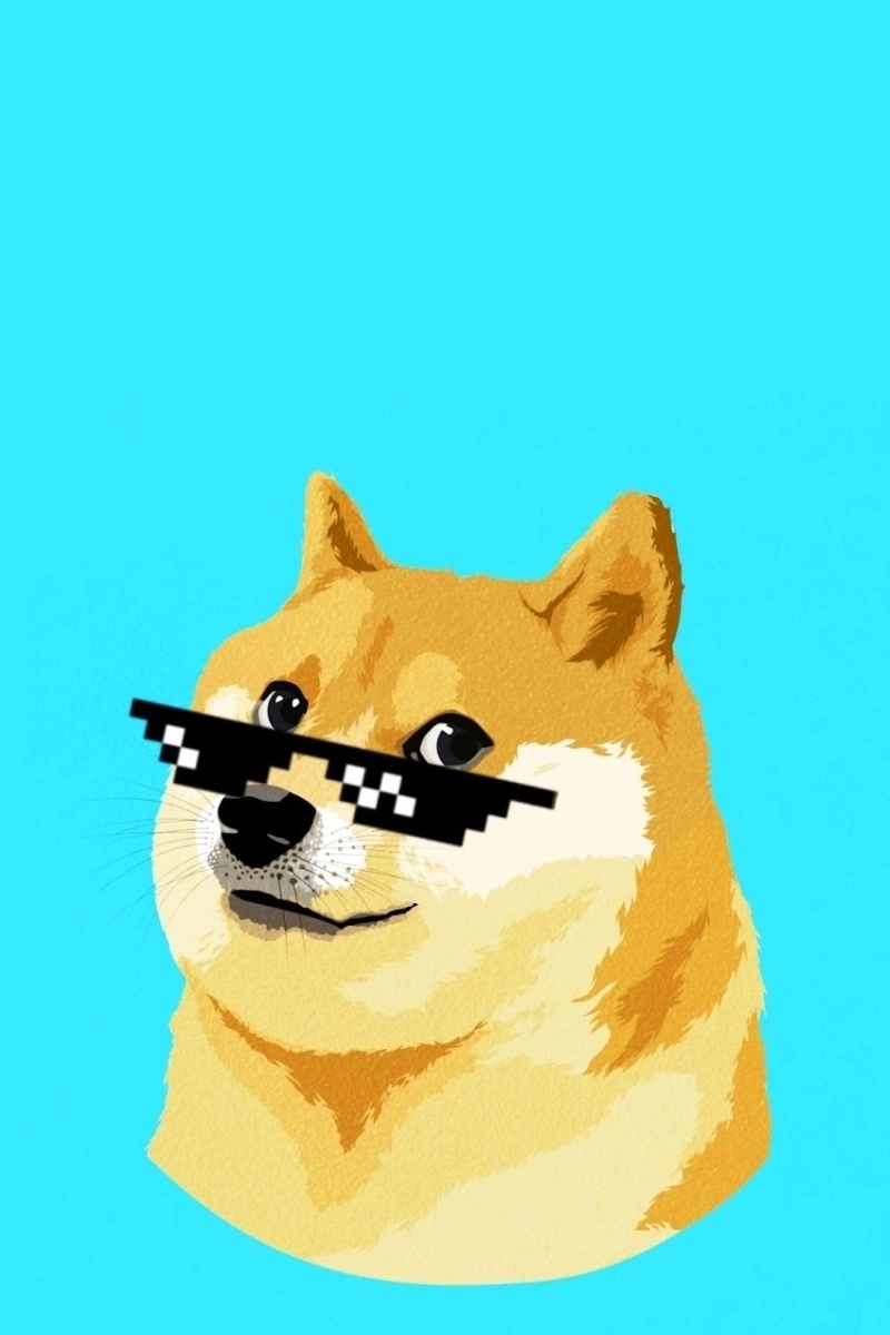 Cười xỉu với hình nền con chó meme cực bựa cực chill