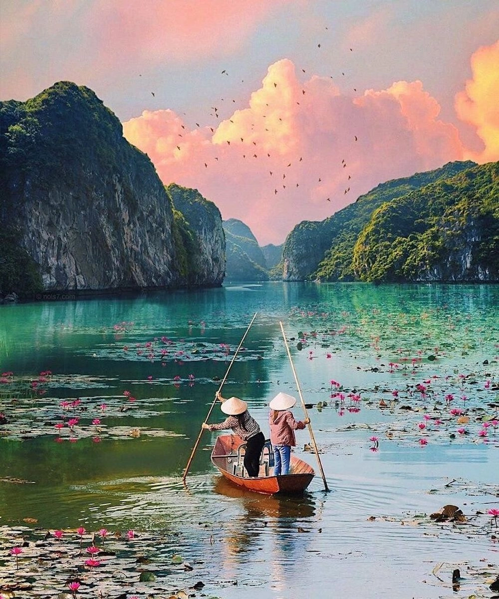 Về mùa sen nở tại đầm sen hồ quan sơn mỹ đức