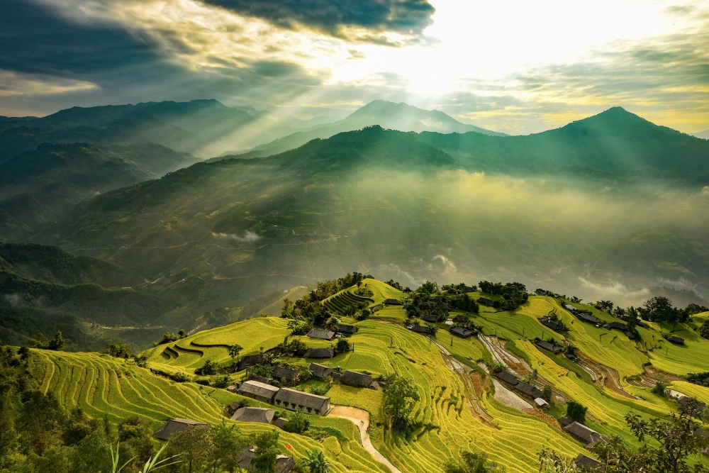 Chiêm ngưỡng lúa chín Hoàng Su Phì rực rỡ