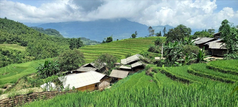 Gợi ý hay về Hoàng Su Phì có gì nên thử