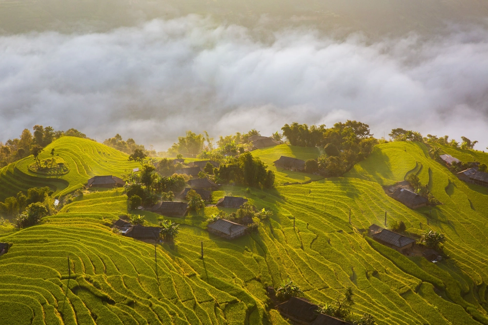 Tìm hiểu Hoàng Su Phì thuộc tỉnh nào chính xác